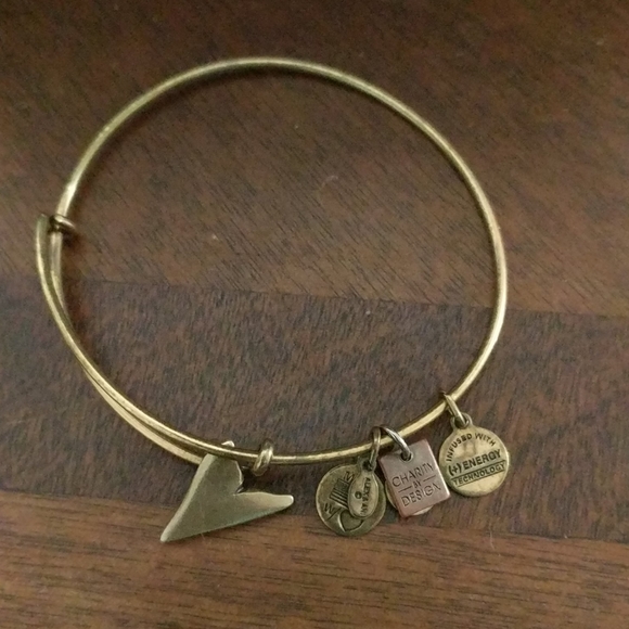 Alex and Ani Jewelry - Alex & Ani Gold Tone Bracelet